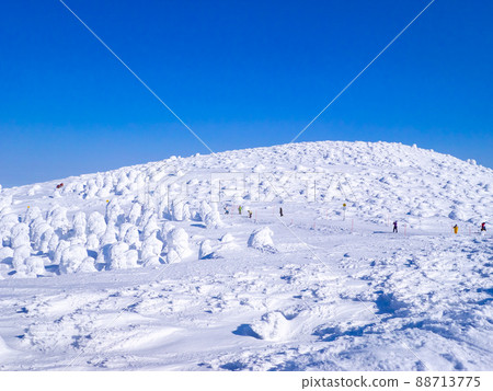 People heading to the mountaintop covered with tree ice and the gliding course (Zao Onsen Ski Resort, Yamagata Prefecture) 88713775