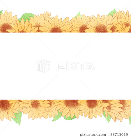 Background material_watercolor style_sunflower 88715019