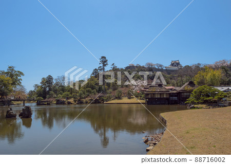 從武藏野看彥根城玄關園天守閣 從武藏野看彥根城玄關園天守閣 88716002