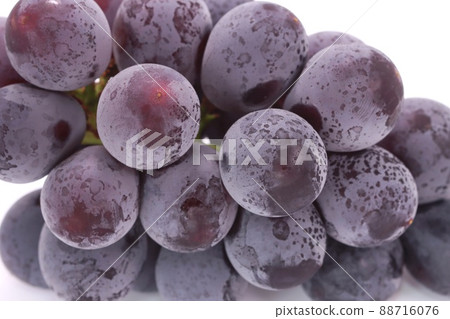 巨峰大葡萄表面的白色粉末是綻放明亮的背景 88716076