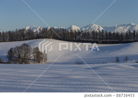 Hill of the snowy field Hill of the snowy field 88716455