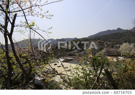Jeongneunggol. Alley. Spring flowers. Redevelopment 88716703
