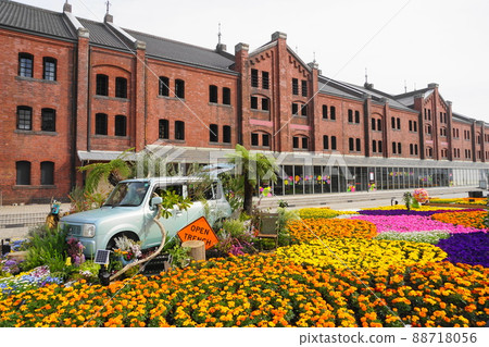 四月橫濱653花園2022 /紅磚倉庫 88718056