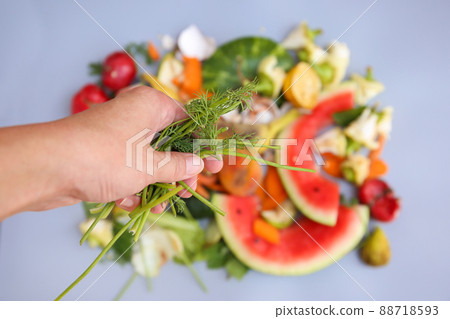 Domestic waste for compost from fruits and vegetables. Woman throws garbage. Domestic waste for compost from fruits and vegetables. Woman throws garbage. 88718593