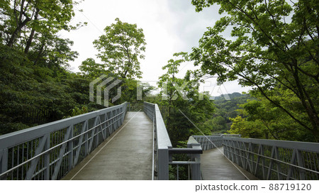 臺灣，新北市，十分寮瀑布，森林步道，台湾、新北市、シフェンリアオ滝、フォレストトレイル、Taiwa 88719120