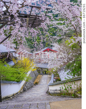 春長谷寺（奈良縣） 88719281