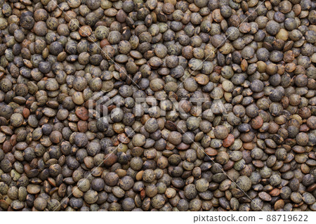 French green lentils 88719622