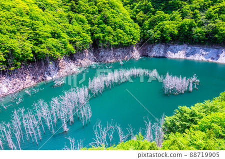 [栃木縣日光市]湯西川水壩湖的沈水森林 88719905