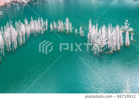 [栃木縣日光市]湯西川水壩湖的沈水森林 88719912