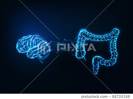 Futuristic gut brain connection concept with glowing low polygonal human brain and intestine  88720188