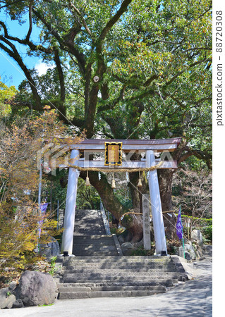 大阪玉毛屋神社 88720308