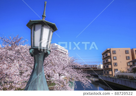 Sobu Rapid Line E217 series running on the Ebi River in full bloom of cherry blossoms 88720522