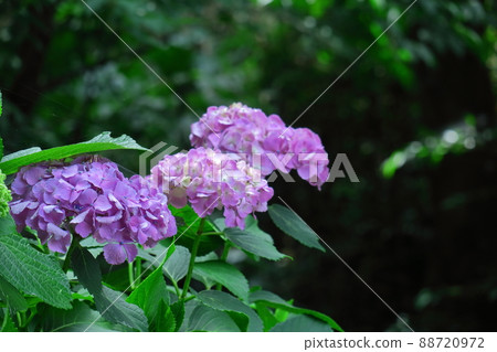 下雨時它會變濕 88720972