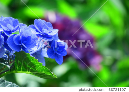 It gets wet when it rains 88721107