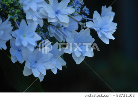 It gets wet when it rains It gets wet when it rains 88721108