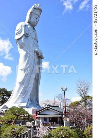 Takasaki City, Gunma Prefecture Takasaki Shiroi Daikannon and cherry blossoms in full bloom Takasaki City, Gunma Prefecture Takasaki Shiroi Daikannon and cherry blossoms in full bloom 88721458