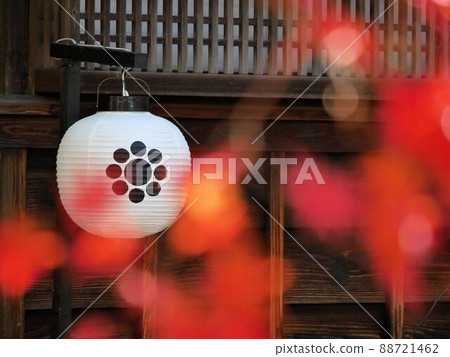 Autumn Hosokawa Penitentiary House, Hosokawa Family Crest Lantern (Kumamoto City) Autumn Hosokawa Penitentiary House, Hosokawa Family Crest Lantern (Kumamoto City) 88721462