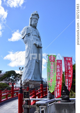 Takasaki City, Gunma Prefecture Takasaki Shiroi Daikannon, Taikobashi and Sakura in full bloom Takasaki City, Gunma Prefecture Takasaki Shiroi Daikannon, Taikobashi and Sakura in full bloom 88721463