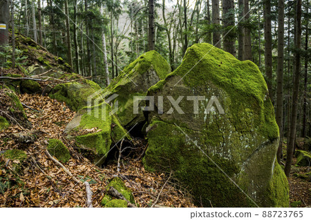 a large stone in the Ukrainian Carpathian, national park Skolivski beskidy, Lviv region, Ukraine a large stone in the Ukrainian Carpathian, national park Skolivski beskidy, Lviv region, Ukraine 88723765
