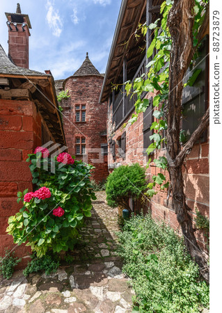 Backyard of ancient Collonges-la-Rouge rich in vegetation 88723879