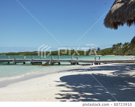 wooden pier on a paradisiacal and lonely beach wooden pier on a paradisiacal and lonely beach 88723910