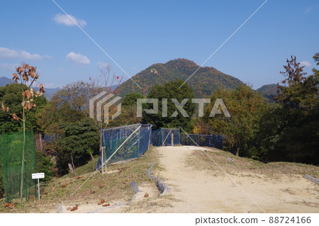 Kabe蠶蛾養殖設施的風景 88724166