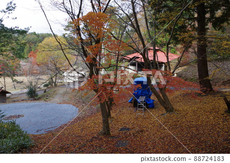 Autumn scenery of the Youth Outdoor Activity Center Autumn scenery of the Youth Outdoor Activity Center 88724183