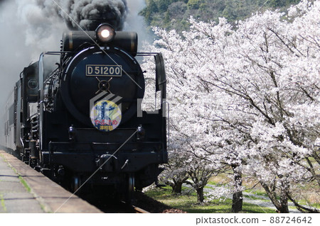 SL Yamaguchi and Sakura in full bloom 2 88724642