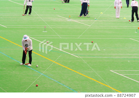 Elderly sports gateball 88724907