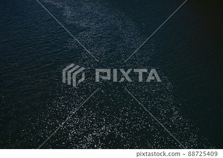 Cherry blossom petals floating on the water surface Cherry blossom petals floating on the water surface 88725409