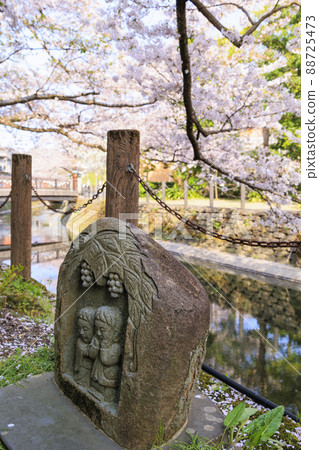 Kinosaki Onsen in full bloom 88725473