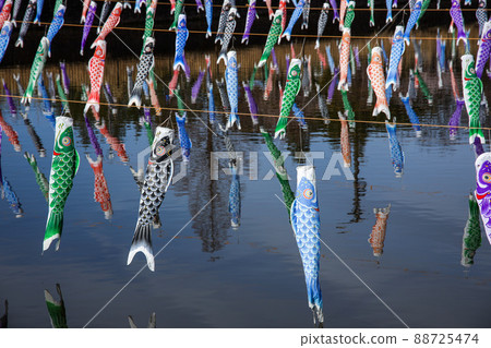 Carp streamer 88725474