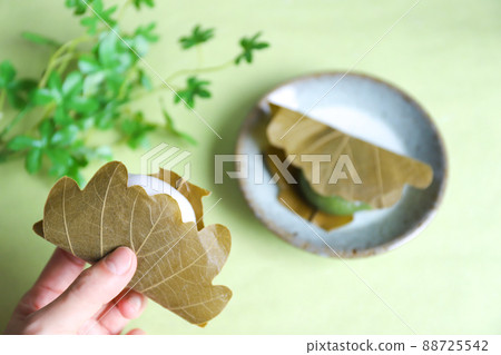 Hand with Kashiwa mochi Hand with Kashiwa mochi 88725542