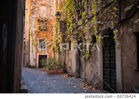 羅馬鵝卵石小巷 88726424