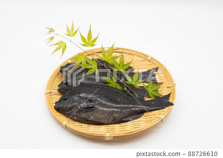 濾鍋上的 3 條大型黑魚 88726610