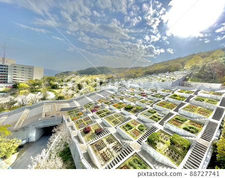 Long from the dream stage of Awaji Island Long from the dream stage of Awaji Island 88727741