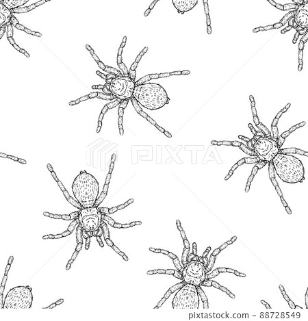 Seamless pattern of monochrome spiders illustration. Vector illustration template 88728549