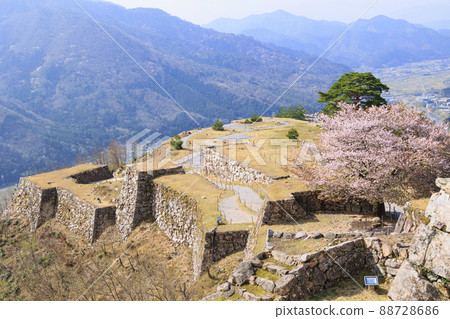 Takeda Castle Ruins in full bloom Takeda Castle Ruins in full bloom 88728686