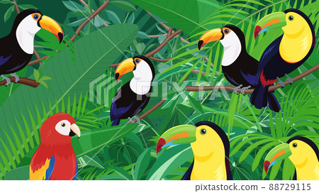 熱帶鳥類和植物景觀_叢林背景插圖_16:9 熱帶鳥類和植物景觀_叢林背景插圖_16:9 88729115
