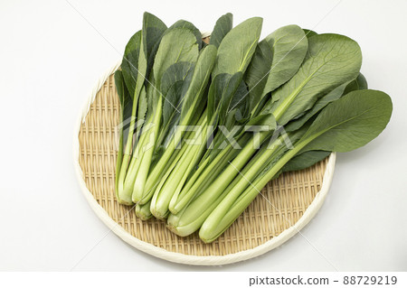 Japanese mustard spinach on a colander 88729219