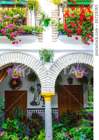 Cordoba Patio Festival Spain la fiesta de los patios, Córdoba 88729365