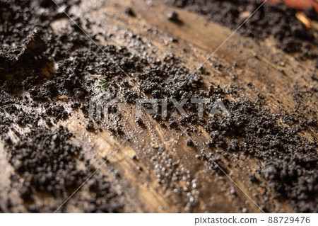 Wet dark soil on the ground closeup Wet dark soil on the ground closeup 88729476