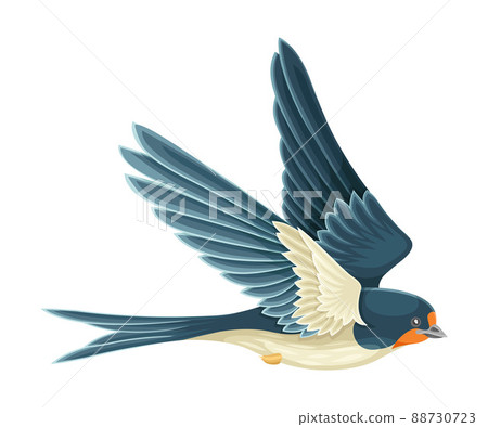 Swallow or Martin Passerine Bird with Long Tail and Pointed Wings Flying or Gliding Vector Illustration Swallow or Martin Passerine Bird with Long Tail and Pointed Wings Flying or Gliding Vector Illustration 88730723