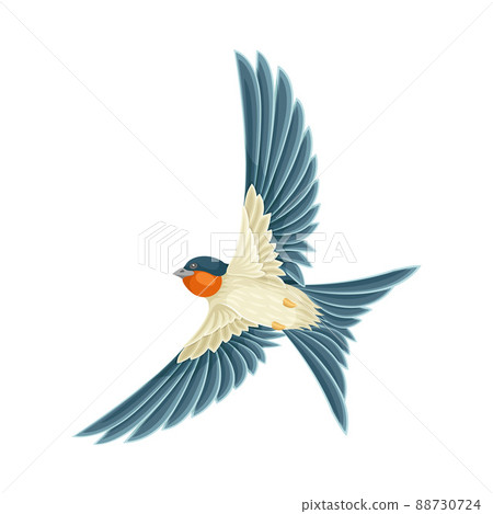 Swallow or Martin Passerine Bird with Long Tail and Pointed Wings Flying or Gliding Vector Illustration 88730724