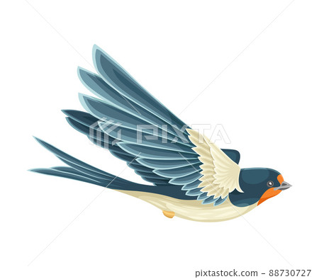 Swallow or Martin Passerine Bird with Long Tail and Pointed Wings Flying or Gliding Vector Illustration 88730727