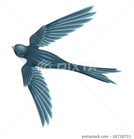 Swallow or Martin Passerine Bird with Long Tail and Pointed Wings Flying or Gliding Vector Illustration 88730733