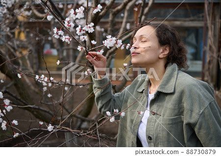 Confident serene Hispanic brunette woman enjoying the scent of the white flowers on the branch of a blossoming apricot fruit tree, standing in her garden plot on an early spring day Confident serene Hispanic brunette woman enjoying the scent of the white flowers on the branch of a blossoming apricot fruit tree, standing in her garden plot on an early spring day 88730879