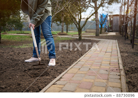 Cropped view of a female gardener famer raking the gound, preparing for seedling.Home vegetable garden in the countryside. Sowing to fight the global crisis and post-war hunger. 88730896