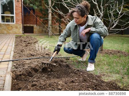 Female gardener loosens soil for sowing and seedlings in early spring, to fight the global crisis and post-war hunger. Sowing to fight the global crisis and post-war hunger. Female gardener loosens soil for sowing and seedlings in early spring, to fight the global crisis and post-war hunger. Sowing to fight the global crisis and post-war hunger. 88730898