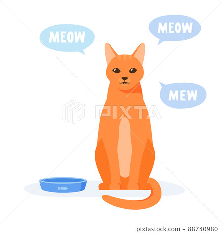 Hungry cat asks for food. Pet mews and demands food. Ginger cat sits near empty bowl. Flat style vector  88730980